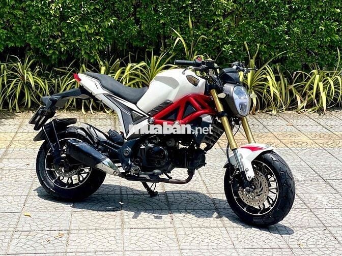Ducati Mini 2019 Trắng, Đỏ, Đen 7000 km