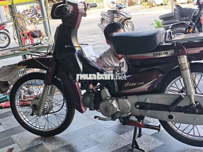 Honda Citi 2024 Tím
