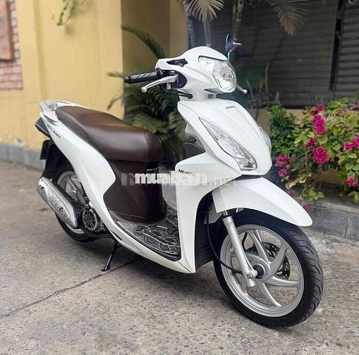 Honda Vision 2017 đẹp, máy êm biển Tây Ninh