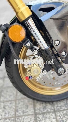 Honda MSX 125 2018 Nhập Thái Bstp Chính Chủ