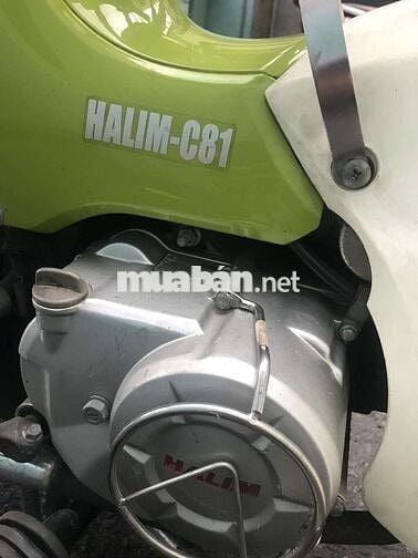 Xe số Dealim Cup 50cc Xanh