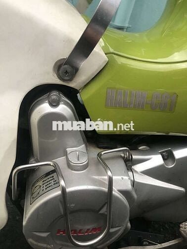 Xe số Dealim Cup 50cc Xanh