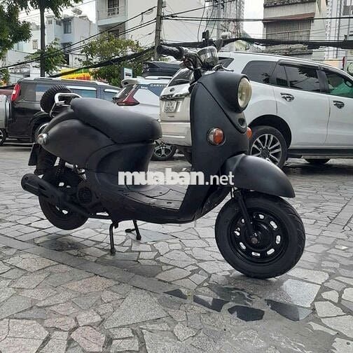 xe 50cc 