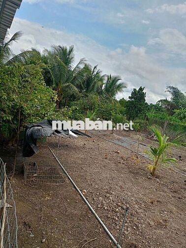 Cần bán gấp căn nhà + đất 2000