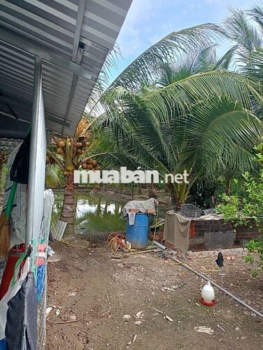 Cần bán gấp căn nhà + đất 2000