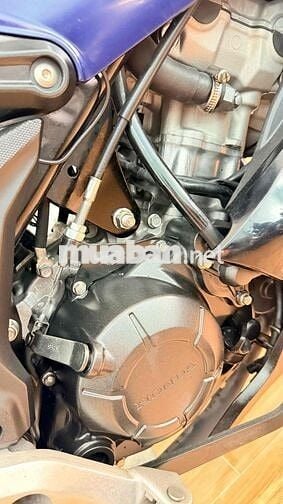 Honda Winner X 2021 Côn tay Xanh Smartkey