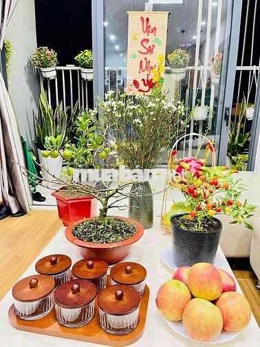 Viva Riverside Q6 - căn 78m2 Full nội thất