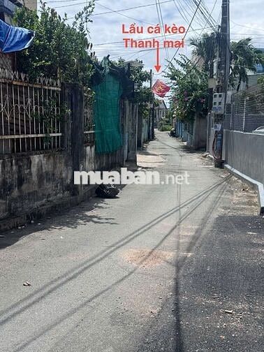 Bán đất 60m2 cù lao Hiệp Hòa gần đường Đỗ Văn Thi