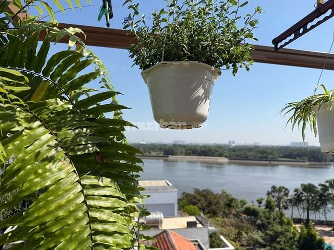 [HIẾM CÓ] BÁN NHÀ ĐƯỜNG SỐ 1 KHU LÀNG BÁO CHÍ THẢO ĐIỀN