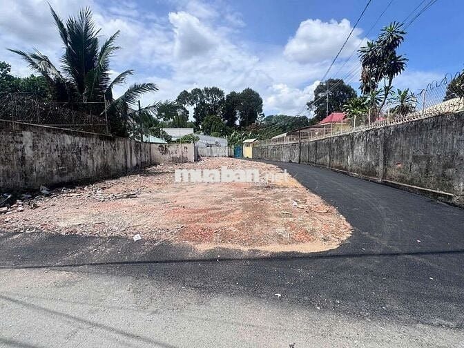 Bán đất 60m2 cù lao Hiệp Hòa gần đường Đỗ Văn Thi