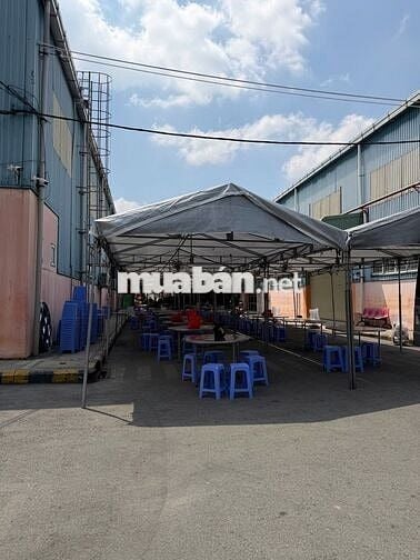 KHO LAZADA TUYỂN NHÂN VIÊN CHÍNH THỨC - THỜI VỤ