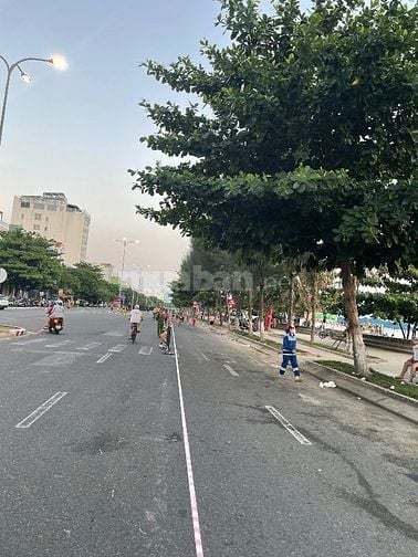 Bạn nhà kiệt trai nhựa lý thái tông