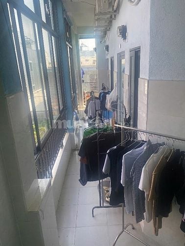 Bạn nhà kiệt trai nhựa lý thái tông