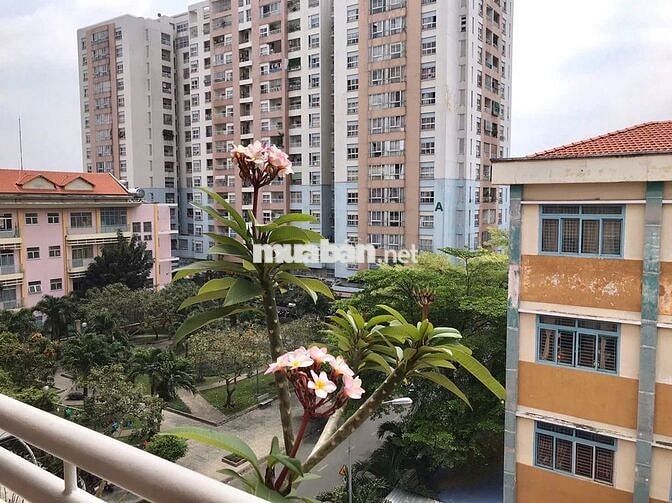 Cho thuê Chung cư Bàu Cát 2 100m2 12 triệu