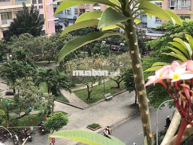 Cho thuê Chung cư Bàu Cát 2 100m2 12 triệu