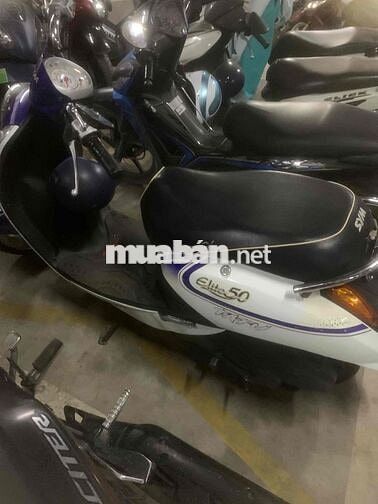 SYM Elite 50cc Trắng Xanh Học sinh
