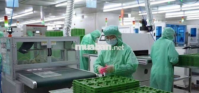 [HẢI DƯƠNG] TUYỂN DỤNG CÔNG NHÂN KIỂM HÀNG