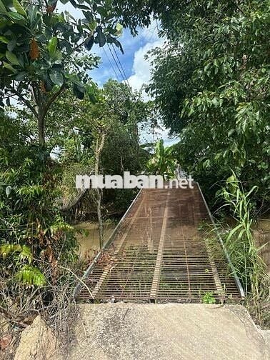 Bán đất Định Hoà cũ (Phong Hoà mới)