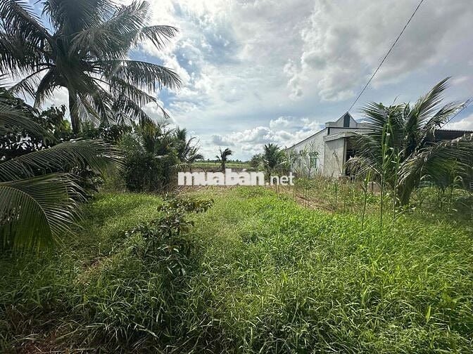 Bán đất Định Hoà cũ (Phong Hoà mới)