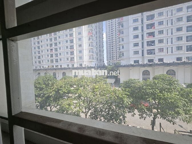 Cho thuê cc An sinh Mỹ Đình 2 ngủ