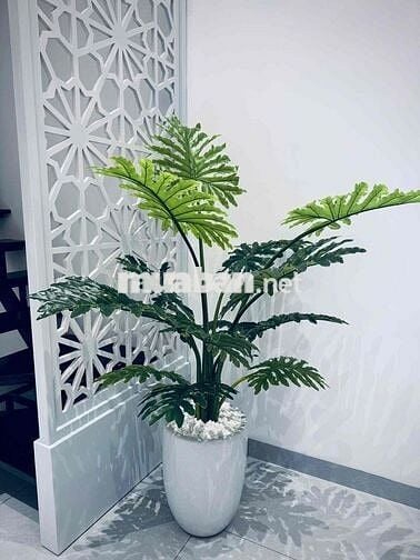 NHÀ ĐẸP KHU AN THƯỢNG,2PN,2WC, FULL NT
