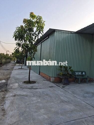 Cho thuê xưởng Thới Tam Thôn 20x15