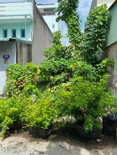 Cần tiền bán đất khu dân cư bình điền (chợ đầu mối bình điền) chínhchủ