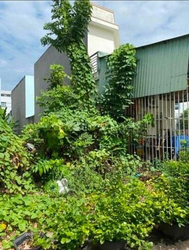 Cần tiền bán đất khu dân cư bình điền (chợ đầu mối bình điền) chínhchủ