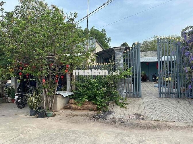 Cần bán đất , chính chủ , mấy con vợ lừa đảo kêu gửi sổ né dùm cái