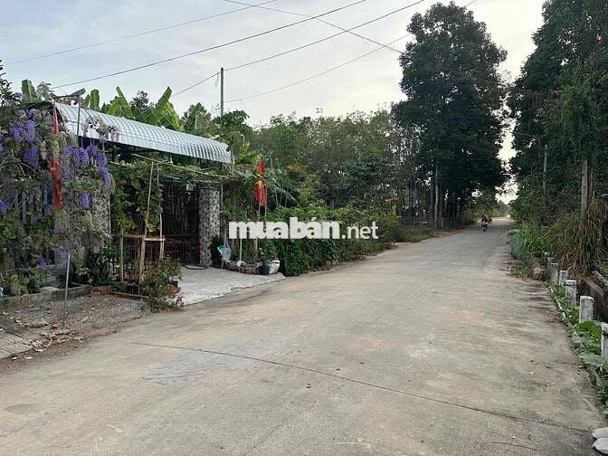 Cần bán đất , chính chủ , mấy con vợ lừa đảo kêu gửi sổ né dùm cái