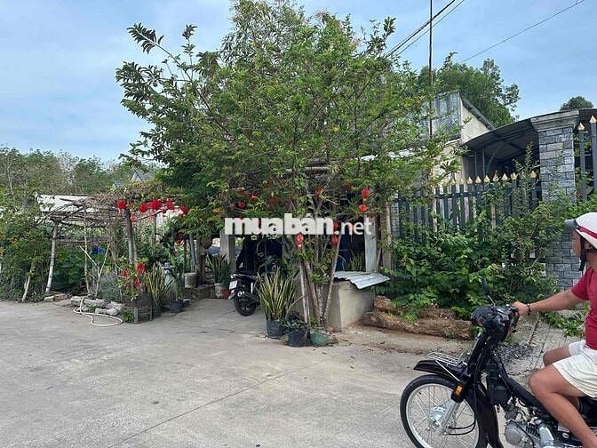 Cần bán đất , chính chủ , mấy con vợ lừa đảo kêu gửi sổ né dùm cái
