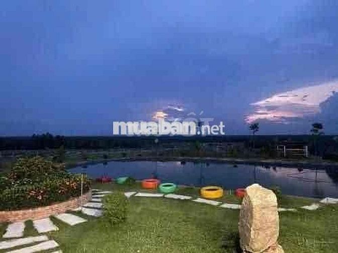 GOLD HOMES Quốc lộ 13, xã Minh Thạnh, huyện Dầu Tiếng, giá 3,899