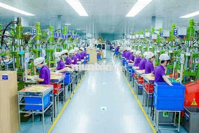 TUYỂN DỤNG LAO ĐỘNG CHO CTY LUXSHARE