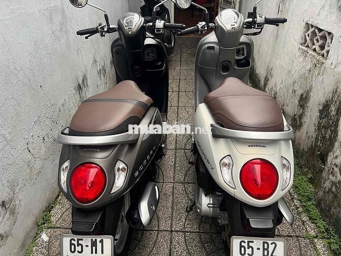 Honda Scoopy khoá ga bs65 zin cực đẹp