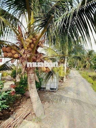 Chỉ 650tr sở hữu 690m² đất vườn cực đẹp 15 × 46m