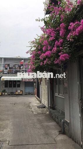 Phòng đẹp thoáng có vườn cây xanh ban công