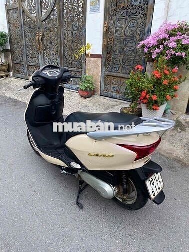 Honda Lead 2009 Vàng kem