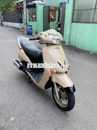 Honda Lead 2009 Vàng kem
