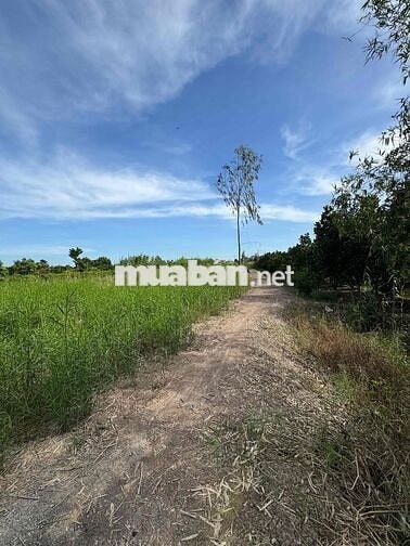 BÁN ĐẤT HAI MẶT TIỀN ĐƯỜNG TỈNH LỘ 856 – ĐỊA THẾ ĐẸP – CÓ 270M² THỔ
