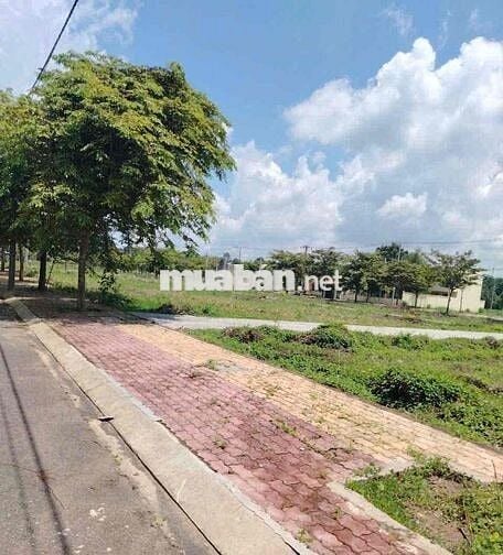 🏡 BÁN ĐẤT DỰ ÁN ĐỨC PHÁT – BÀU BÀNG, BÌNH DƯƠNG 🏡
