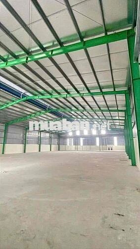 🔴 CHO THUÊ KHO XƯỞNG QUỐC LỘ N2 GẦN CẦU ĐỨC HÒA BẾN LỨC LONG AN