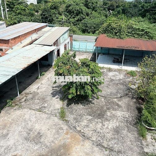 1.310m² Mặt Tiền Chỉ 18.7 Tỷ – Chưa Tới 15 Triệu/m², Cơ Hội Hiếm Có!