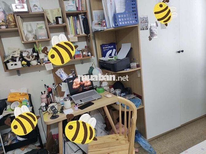 Nhượng phòng ccmm đẹp rẻ ở từ hồi độc thân