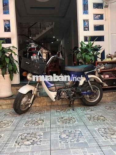 Honda Chaly 50cc Xanh Trắng