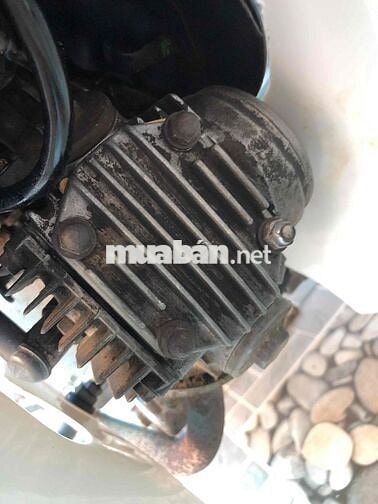 Honda Chaly 50cc Xanh Trắng