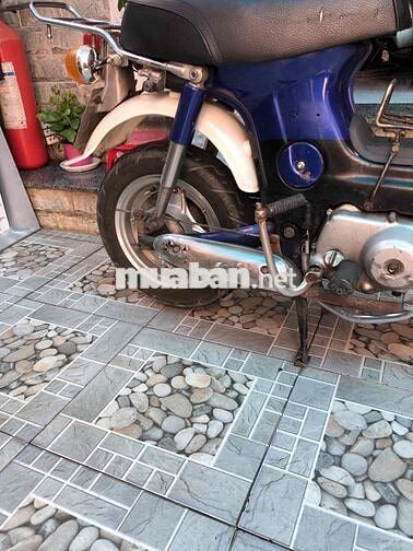Honda Chaly 50cc Xanh Trắng