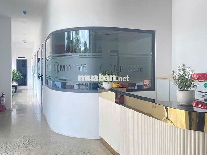 Công nhân may 1 kim và may mẫu