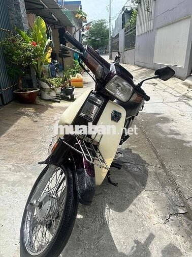 Honda Dream II Thái - Tem Hồng - 7 số