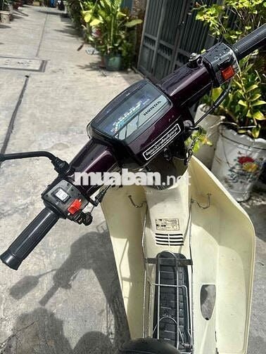 Honda Dream II Thái - Tem Hồng - 7 số