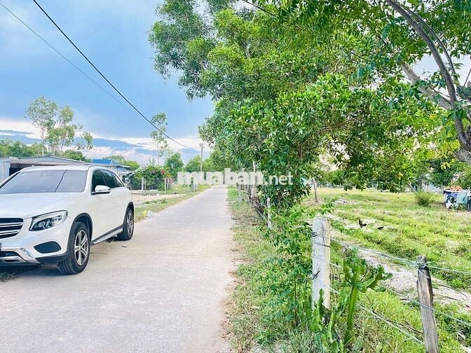 (💥295Triệu) KDC Đất Sát Vinh An, Gần Cầu Trường Hà Giá Chỉ 295 Triệu